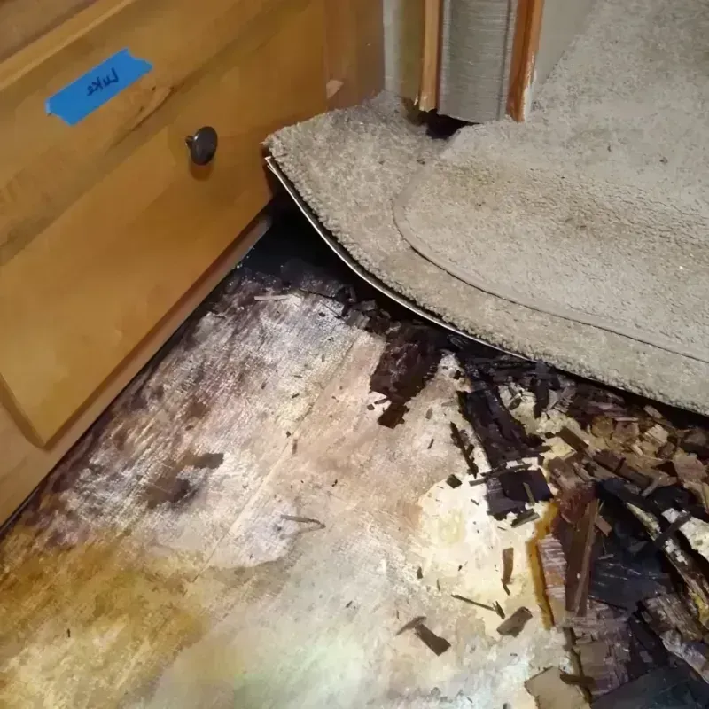 Wood Floor Water Damage in Wind Point, WI